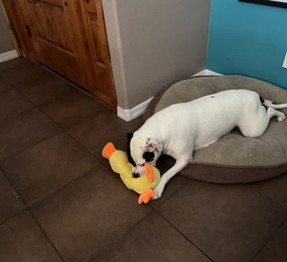 CalmiPaw™ Calming Duck Toy