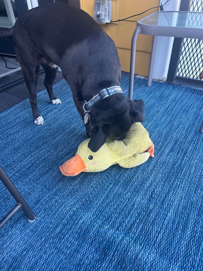 CalmiPaw™ Calming Duck Toy