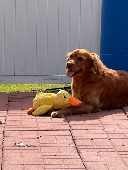 CalmiPaw™ Calming Duck Toy